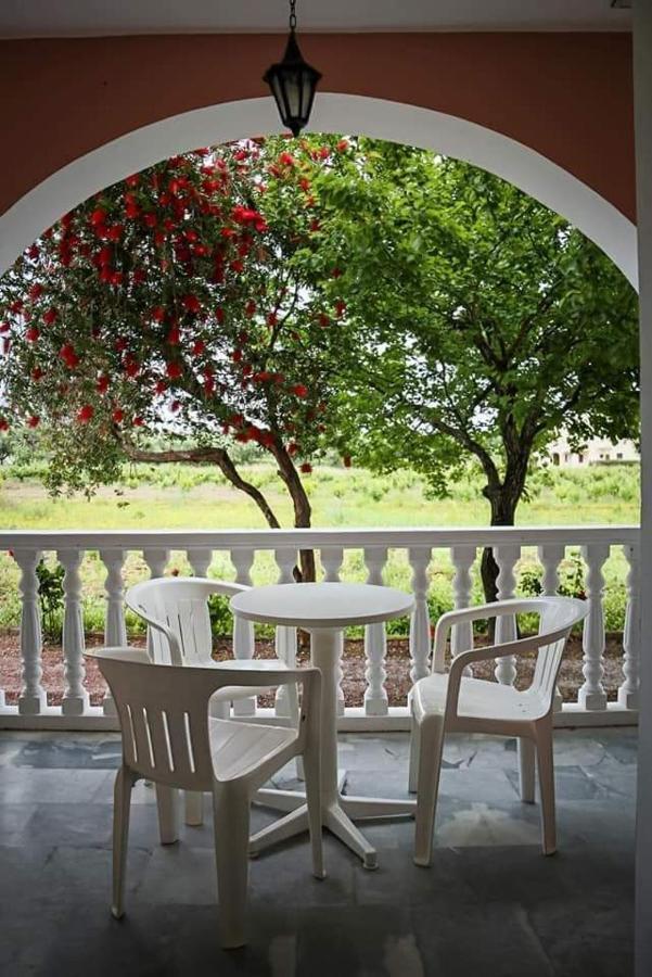 Souda Studios Alykes Zakynthos ภายนอก รูปภาพ